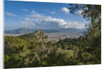 View of the town from Monte Pellegrino by Anonymous