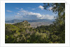 View of the town from Monte Pellegrino by Anonymous