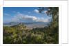 View of the town from Monte Pellegrino by Anonymous