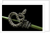Morelia spilota variegata (North-western carpet python) by Anonymous