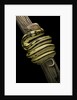 Python regius f. super tiger (royal python, ball python) by Anonymous