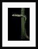 Rhamnophis (Trasops) aethiopissa (large-eyed green treesnake) by Anonymous