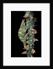 Chamaeleo johnstoni (Johnston's chameleon) by Anonymous