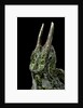 Chamaeleo johnstoni (Johnston's chameleon) by Anonymous