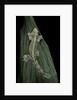 Ptychozoon kuhli (flying gecko) by Anonymous