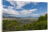 View of the town from Altofonte by Anonymous