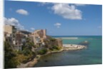 View of Castellammare del Golfo by Anonymous