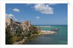 View of Castellammare del Golfo by Anonymous