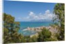 View of Castellammare del Golfo by Anonymous
