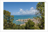 View of Castellammare del Golfo by Anonymous