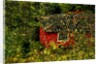 Red House by Anonymous
