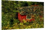 Red House by Anonymous