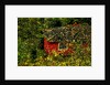 Red House by Anonymous