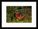 Red House by Anonymous