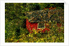 Red House by Anonymous
