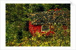 Red House by Anonymous