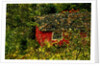 Red House by Anonymous