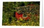 Red House by Anonymous