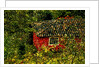 Red House by Anonymous