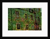 Green by Anonymous