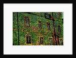 Green by Anonymous