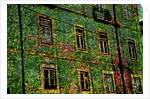 Green by Anonymous