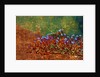 Little Plants by Anonymous