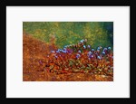 Little Plants by Anonymous