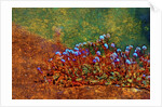 Little Plants by Anonymous