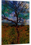 Tree by Anonymous