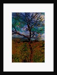 Tree by Anonymous
