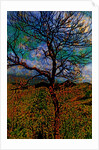Tree by Anonymous