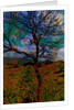 Tree by Anonymous