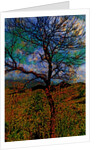 Tree by Anonymous