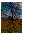 Tree by Anonymous