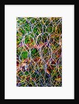 Wire Grid by Anonymous