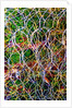 Wire Grid by Anonymous