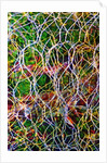 Wire Grid by Anonymous