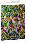 Wire Grid by Anonymous