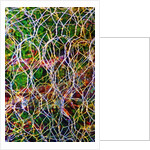 Wire Grid by Anonymous