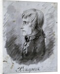 Portrait of Napoleon Bonaparte, general of the Army in Italy by Antoine-Jean Gros
