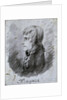 Portrait of Napoleon Bonaparte, general of the Army in Italy by Antoine-Jean Gros
