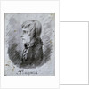 Portrait of Napoleon Bonaparte, general of the Army in Italy by Antoine-Jean Gros