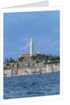 Rovinj by Anonymous