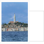 Rovinj by Anonymous