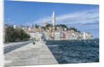 Rovinj by Anonymous