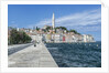 Rovinj by Anonymous