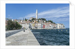 Rovinj by Anonymous