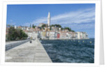 Rovinj by Anonymous