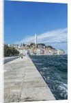 Rovinj by Anonymous